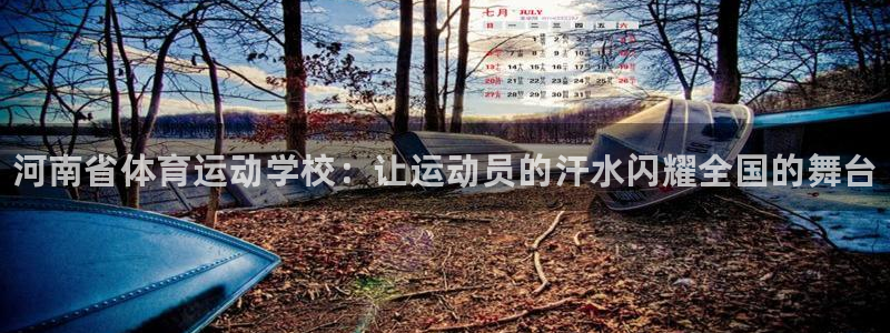 yy易游官方正版app娱乐平台：河南省体育运动学校：