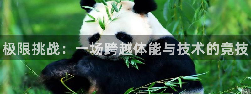 yy易游官网下载招商电话号码是多少号：极限挑战：一场