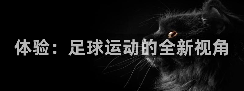yy易游官方正版app娱乐下载：体验：足球运动的全新