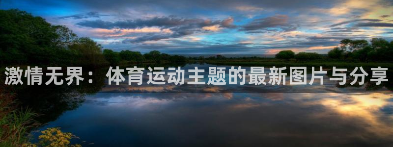 yy易游官方正版app集团简介：激情无界：体育运动主