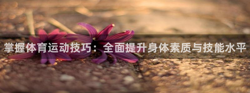 海南yy易游官网下载：掌握体育运动技巧：全面提升身体