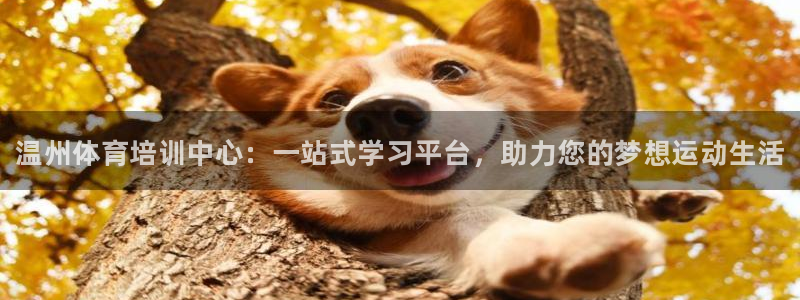 yy易游官网下载软件：温州体育培训中心：一站式学习平
