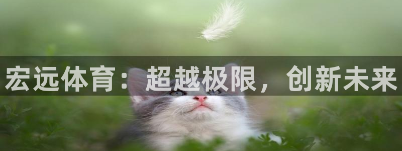 yy易游官网下载招商电话地址是多少：宏远体育：超越极