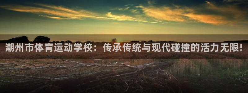 yy易游官网下载招商电话是多少号码：潮州市体育运动学校：传承