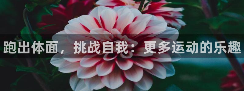 yy易游官网下载招商电话号码是多少号：跑出体面，挑战