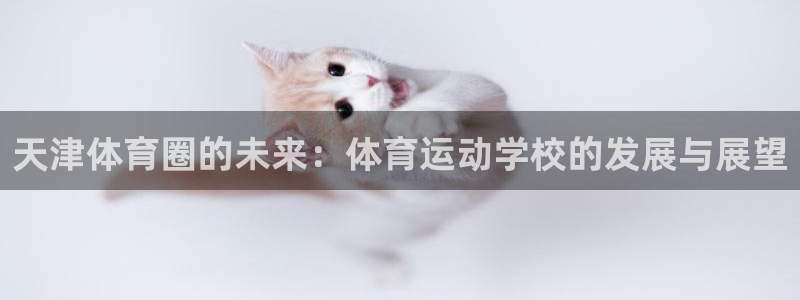 yy易游官方正版app集团：天津体育圈的未来：体育运