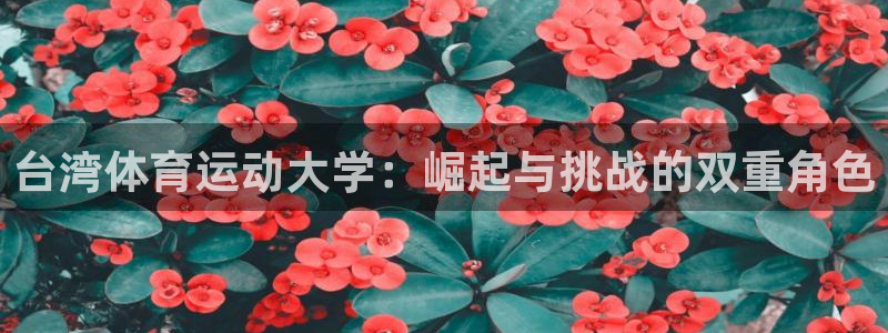 yy易游官方正版app娱乐平台：台湾体育运动大学：崛