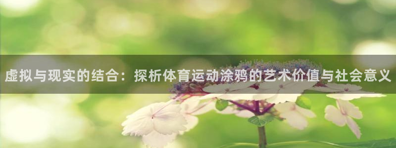 yy易游官方正版app娱乐代理怎么样：虚拟与现实的结
