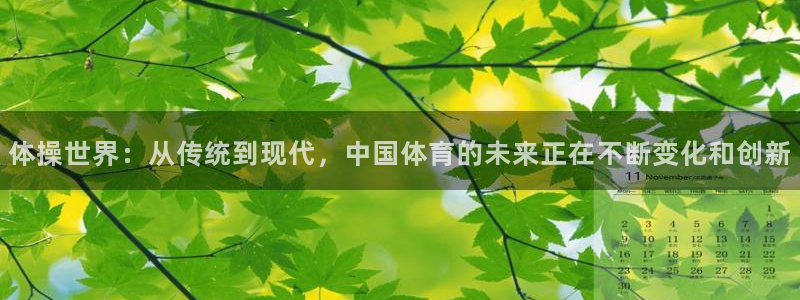 yy易游官网下载招商电话号码查询是多少：体操世界：从