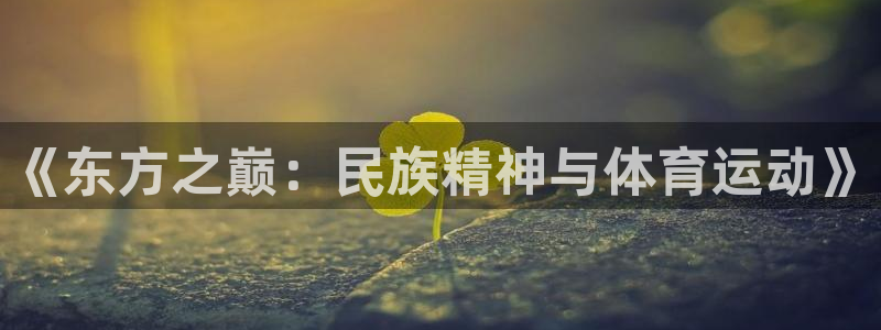 yy易游官方正版app官网：《东方之巅：民族精神与体