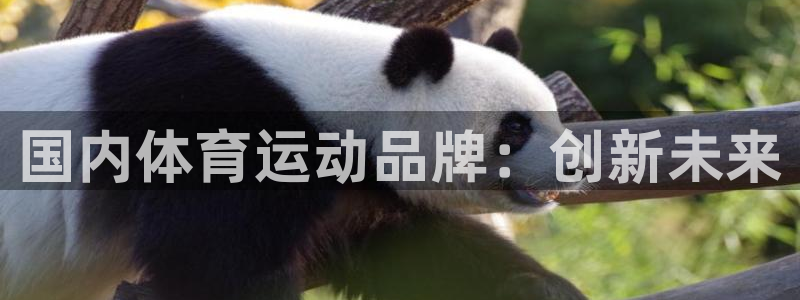 yy易游官方正版app代理：国内体育运动品牌：创新未