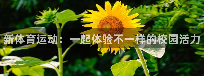 yy易游官网下载：新体育运动：一起体验不一样的校园活力