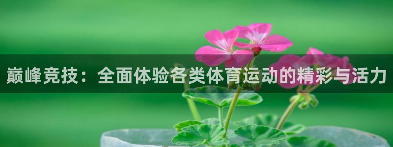 yy易游体育平台