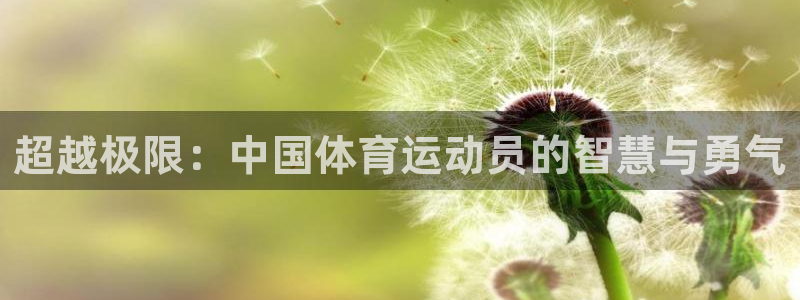 yy易游体育是什么