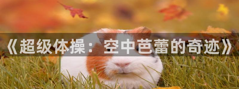 yy易游体育贴吧最新消息