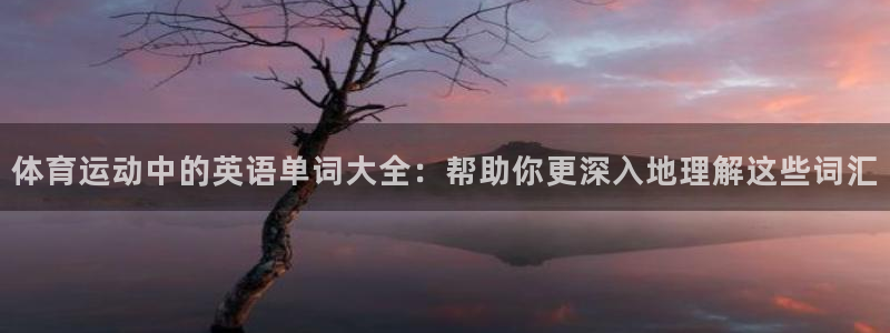  yy易游体育怎么样：体育运动中的英语单词大全：帮助你更深入地