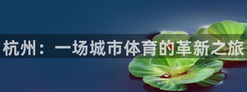 yy易游体育电竞登录不上去：杭州：一