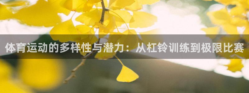  YY易游体育app最新版本更新内容：体育运动的多样性与潜力：