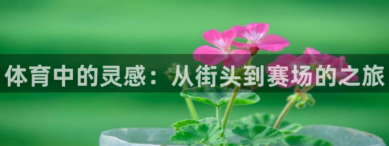 yy易游体育：体育中的灵感：从街头到