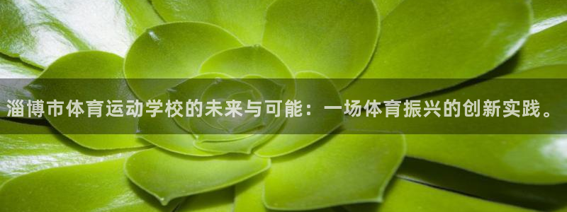  yy易游体育电竞：淄博市体育运动学校的未来与可能：一场体育振