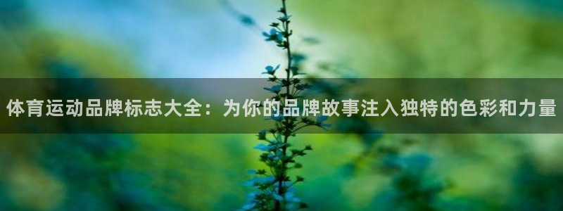 yy易游体育米乐：体育运动品牌标志大